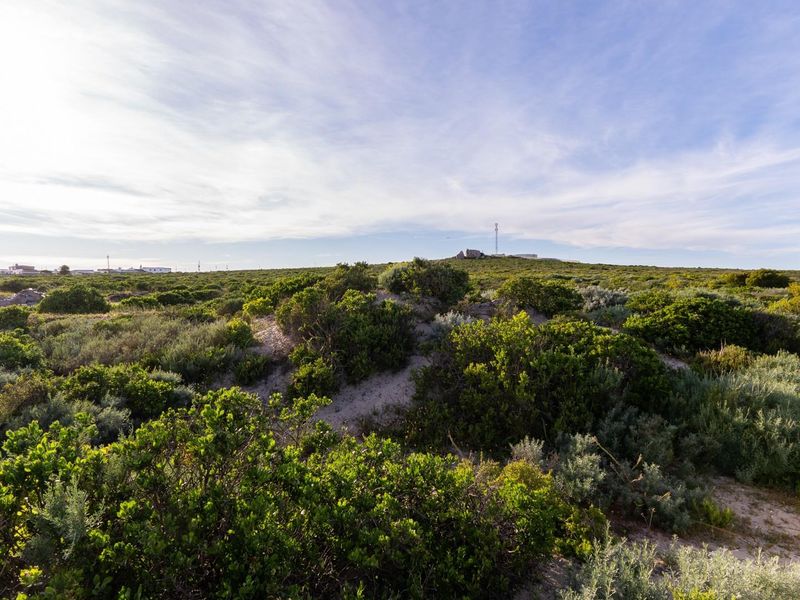 A wide-angle view of the vacant residential land featuring natural coastal vegetation and sandy terrain under a clear sky.