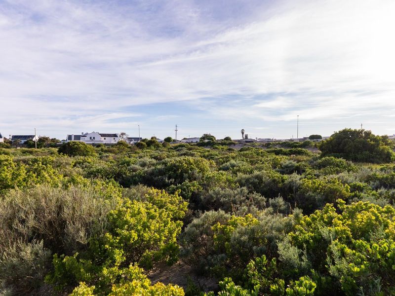 A wide-angle view of a vacant residential plot covered in native coastal vegetation with surrounding neighborhood buildings in the distance.