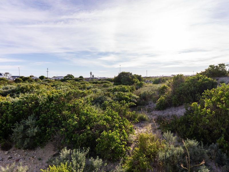 A view of a vacant residential plot featuring natural coastal vegetation and sandy terrain, offering a blank canvas for future development.