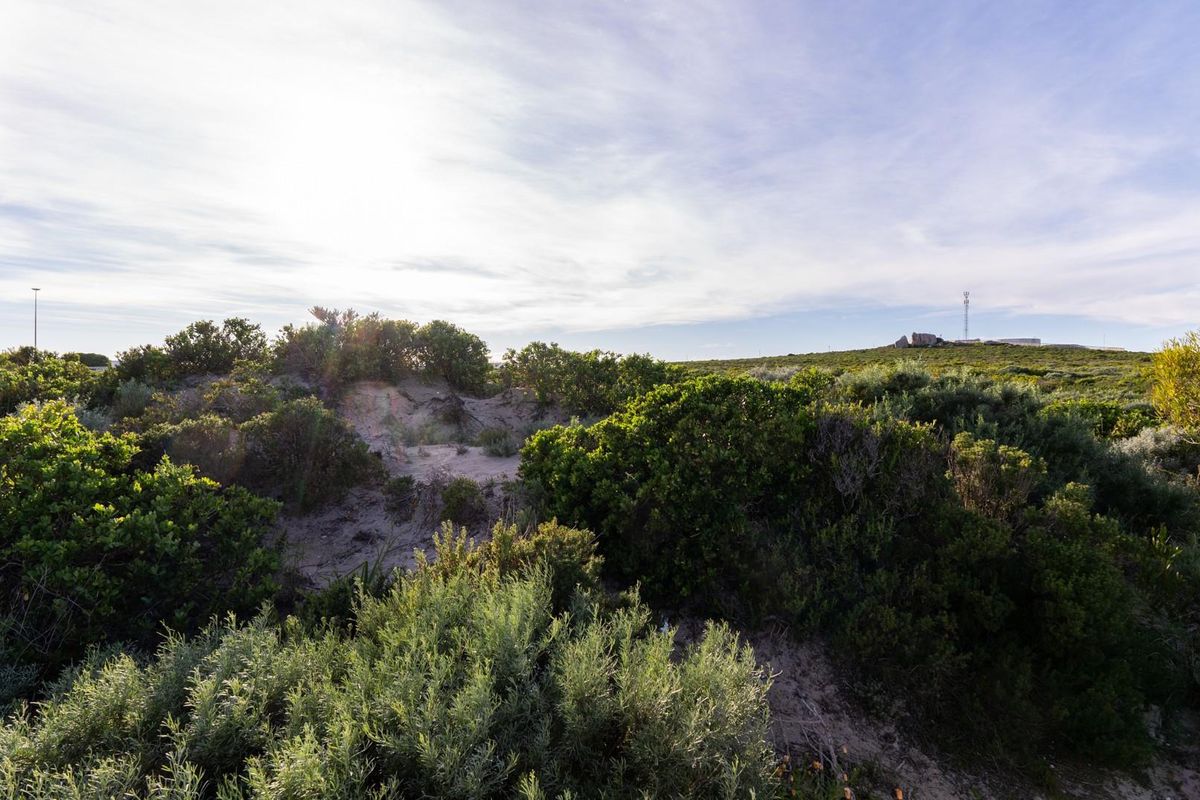 A view of a vacant residential plot featuring natural coastal vegetation and sandy terrain under a clear sky.