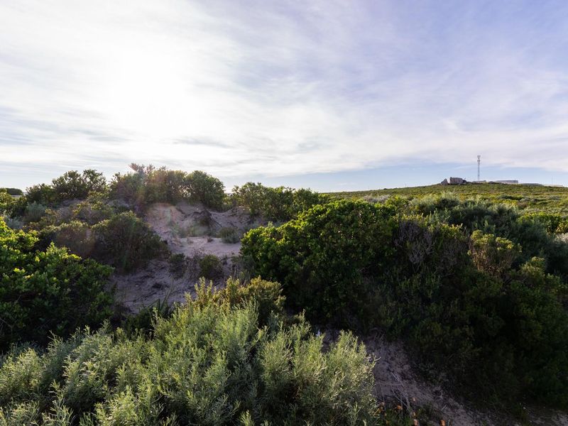 A view of a vacant residential plot featuring natural coastal vegetation and sandy terrain under a clear sky.