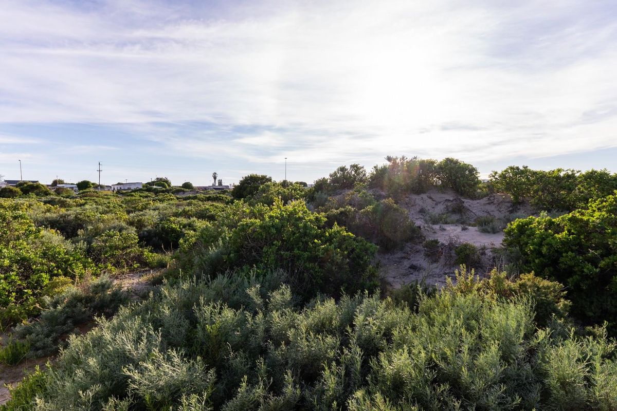 A view of a vacant residential plot featuring natural coastal vegetation and sandy terrain under a clear sky.