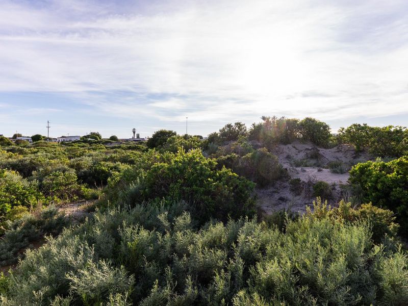 A view of a vacant residential plot featuring natural coastal vegetation and sandy terrain under a clear sky.