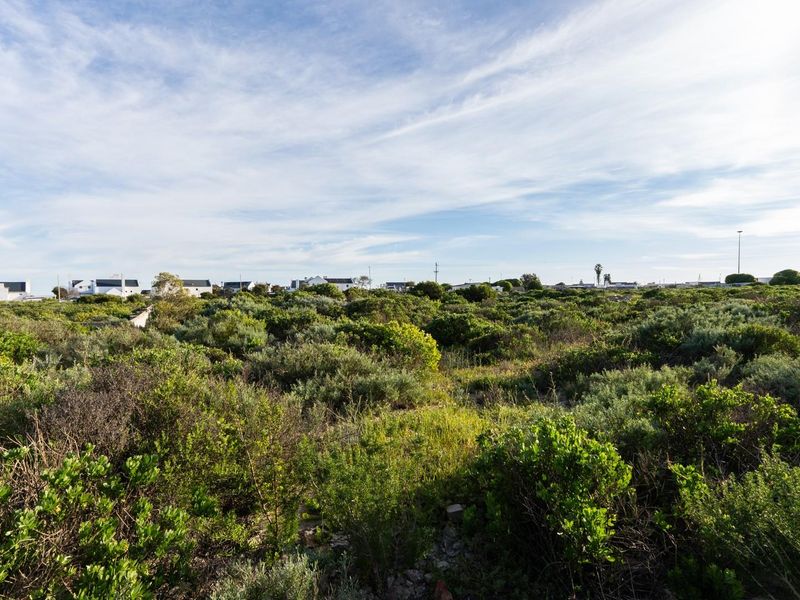 A wide-angle view of a vacant residential plot covered in native coastal vegetation, offering a blank canvas for future development.