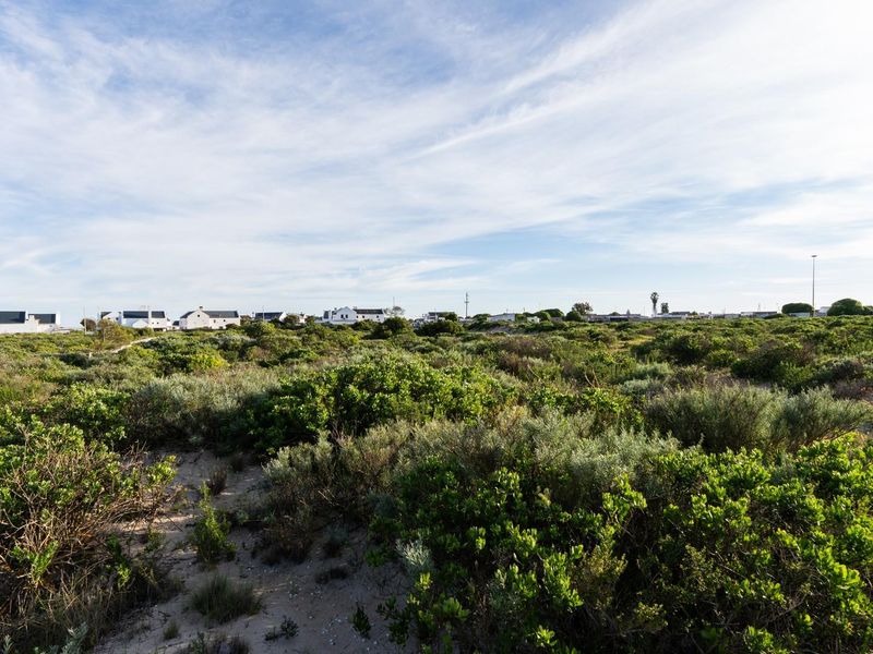 A view of a vacant residential plot featuring natural coastal vegetation and sandy terrain, situated in a quiet neighborhood setting.