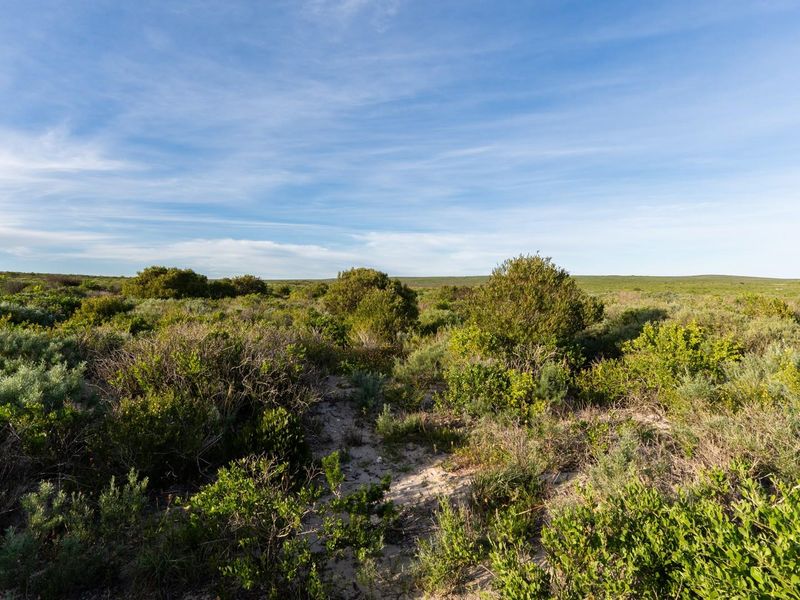 A wide-angle view of a vacant residential plot featuring natural coastal vegetation and sandy terrain under a clear blue sky.