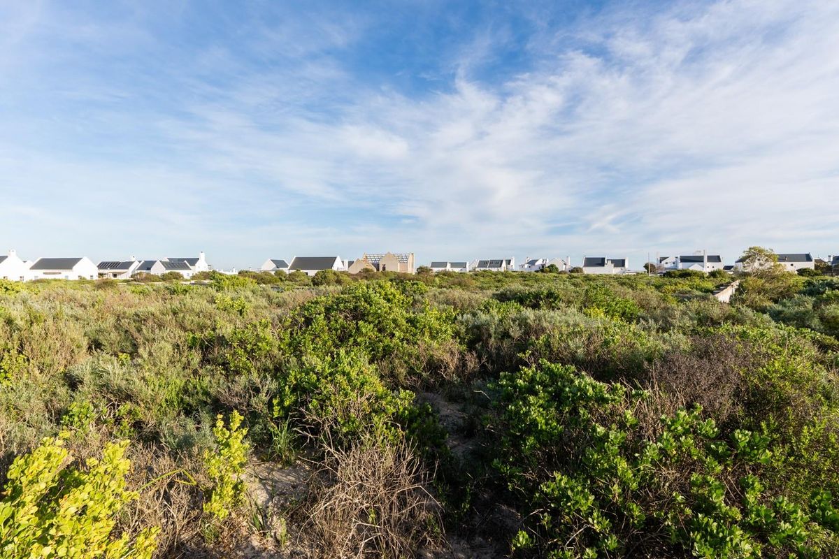 A wide-angle view of a vacant residential plot covered in native coastal vegetation, with established homes visible in the background.