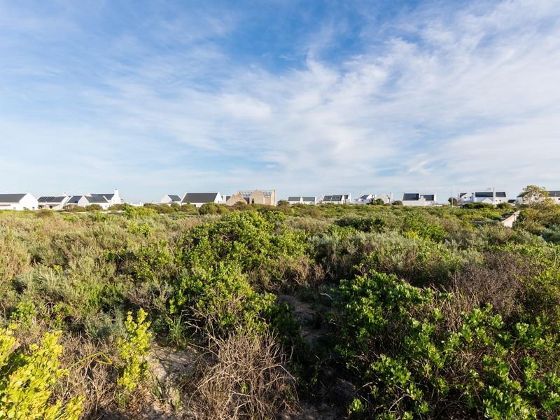 A wide-angle view of a vacant residential plot covered in native coastal vegetation, with established homes visible in the background.