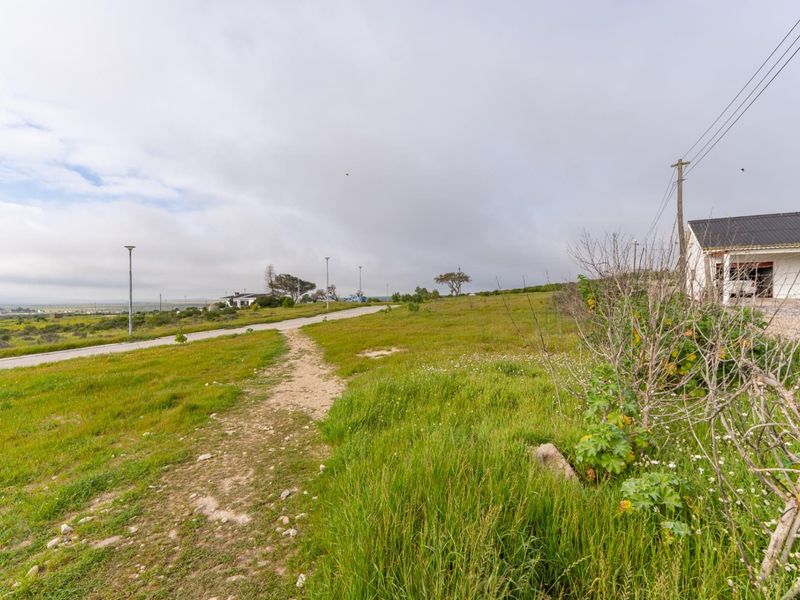 A view of a vacant residential plot featuring natural grassland, a paved road, and an adjacent utility pole.