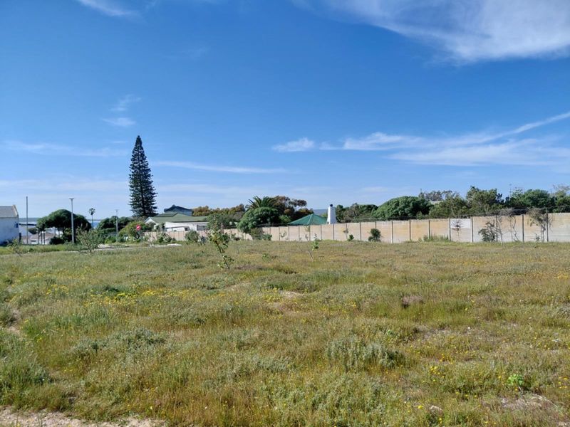 A vacant residential plot featuring natural vegetation and a perimeter boundary wall, offering a clear space for future development.