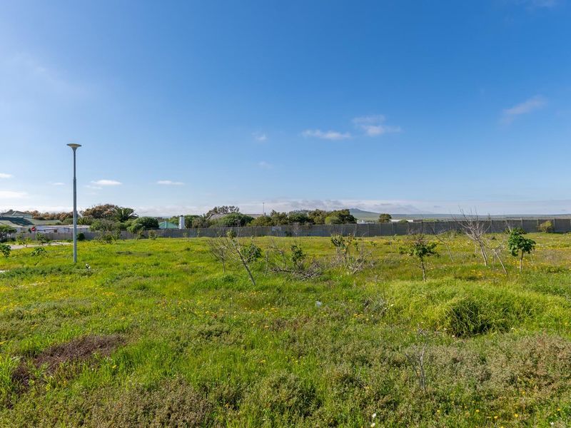 A vacant residential plot featuring a level grassed area, boundary walling, and street-side infrastructure, offering a clear space for future development.