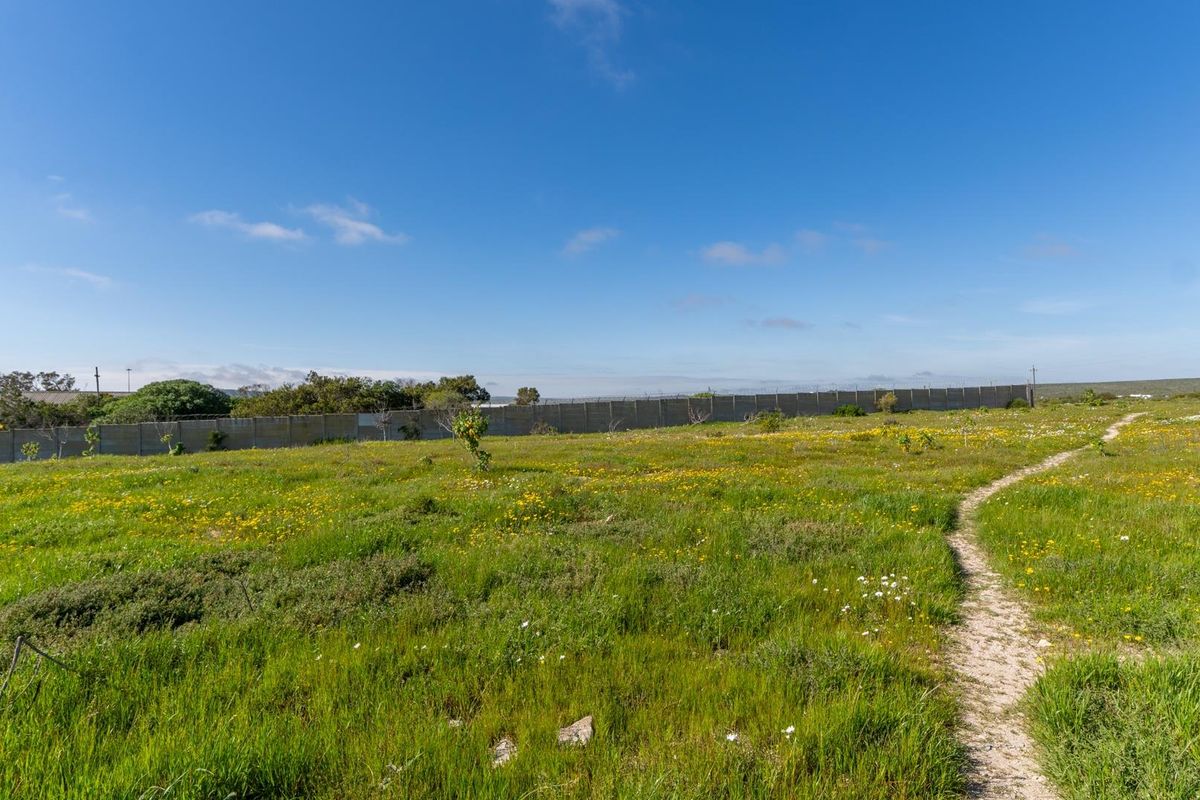 A vacant residential plot featuring natural vegetation, a dirt pathway, and a perimeter boundary wall under a clear blue sky.