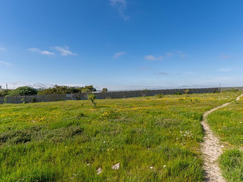 A vacant residential plot featuring natural vegetation, a dirt pathway, and a perimeter boundary wall under a clear blue sky.