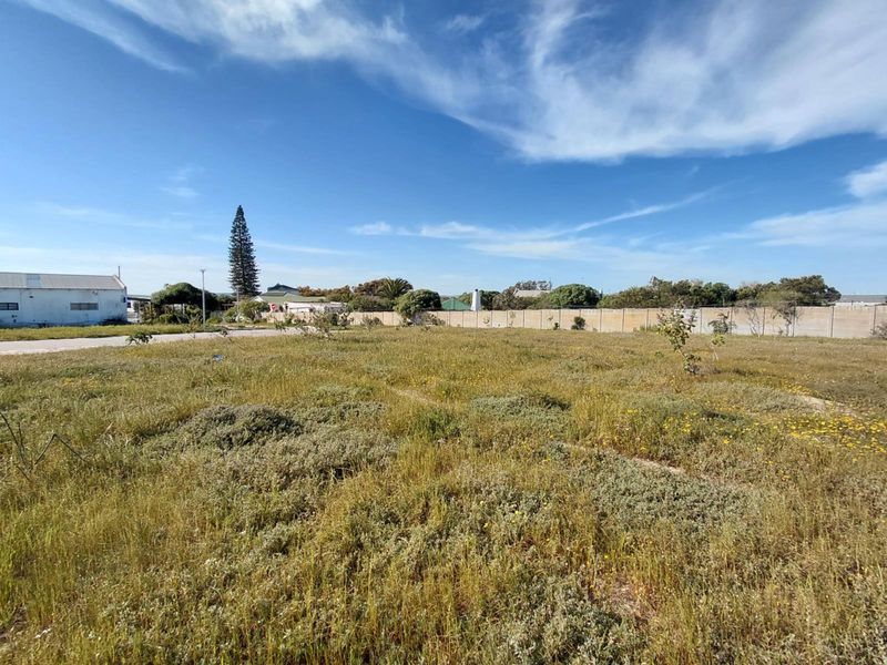 A vacant residential plot of land featuring natural vegetation and a perimeter boundary wall, offering a clear space for future development.
