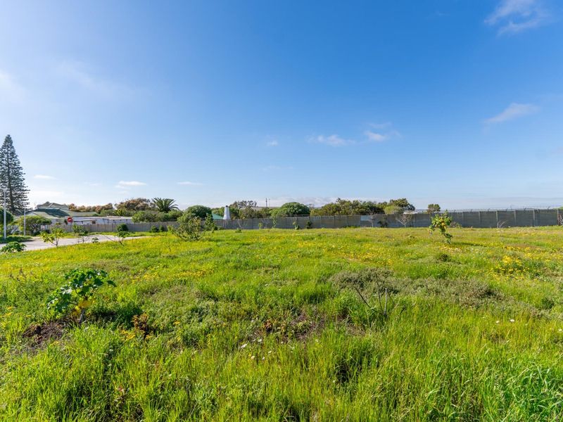 A vacant residential plot of land featuring natural grass coverage and perimeter boundary walling.