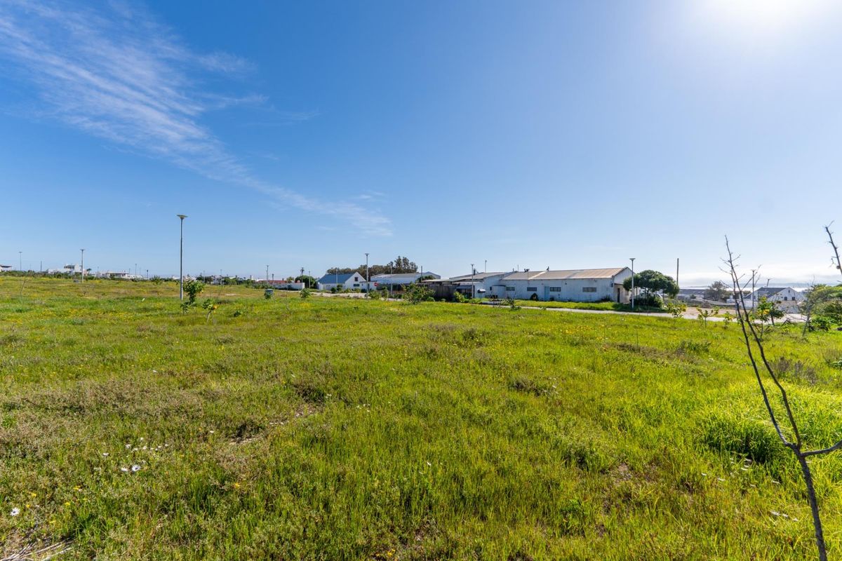 A wide-angle view of a vacant residential plot featuring natural grassland and existing street lighting infrastructure.