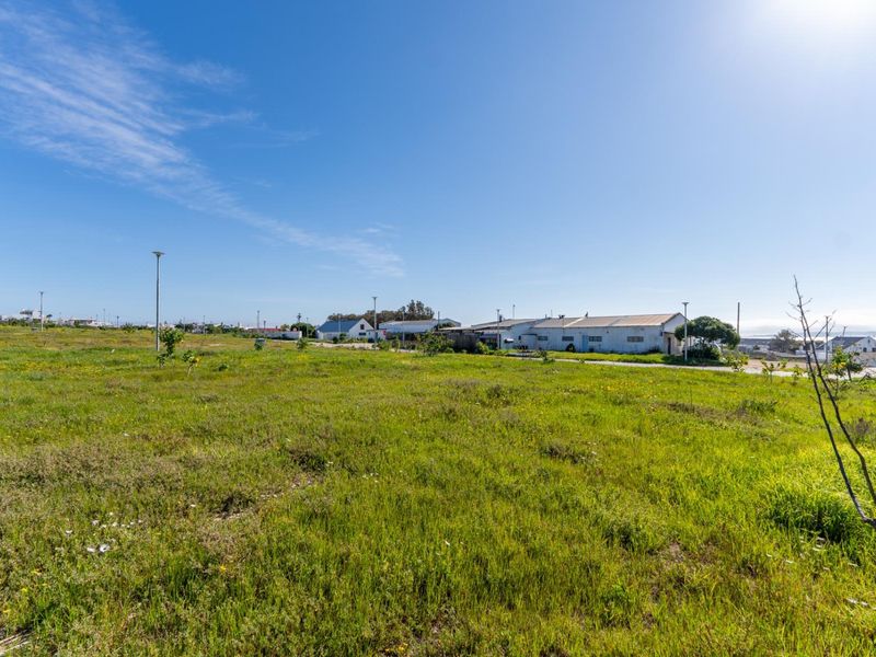 A wide-angle view of a vacant residential plot featuring natural grassland and existing street lighting infrastructure.
