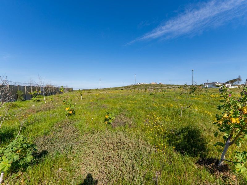 A wide-angle view of a vacant residential plot featuring natural vegetation, grass, and perimeter fencing with security wire.