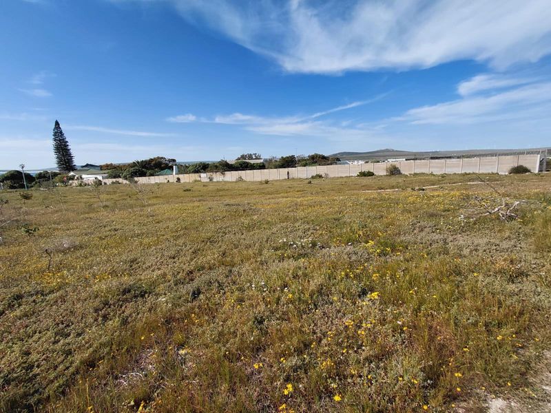 A wide-angle view of a vacant residential plot featuring natural vegetation and a perimeter boundary wall.