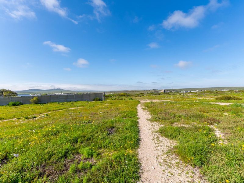 A vacant residential plot featuring natural vegetation, an unpaved access path, and a precast concrete boundary wall against a clear blue sky.