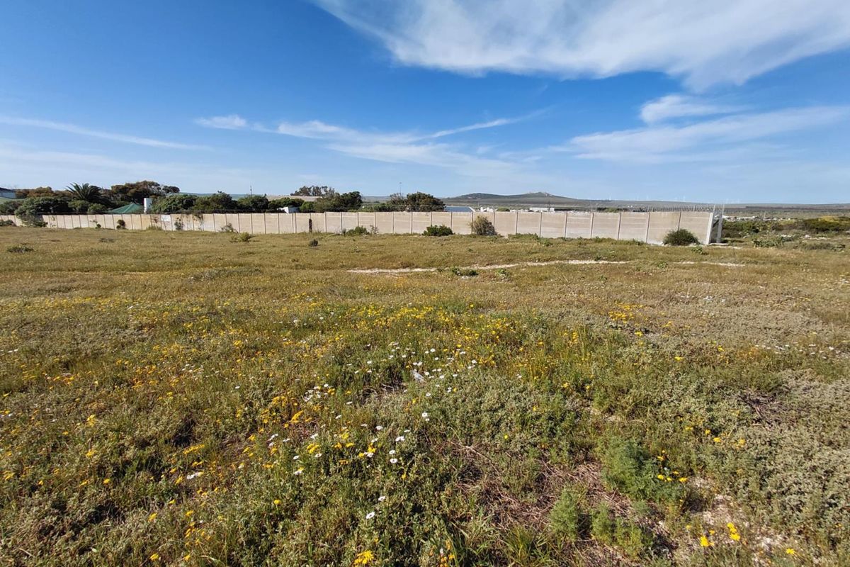 A vacant residential plot featuring natural vegetation and a secure precast concrete boundary wall with security spikes.