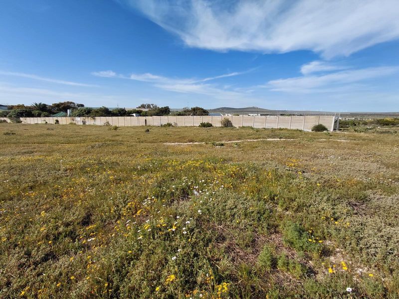 A vacant residential plot featuring natural vegetation and a secure precast concrete boundary wall with security spikes.