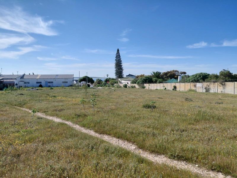 A vacant residential plot of land featuring natural vegetation and a boundary wall, offering potential for future development.