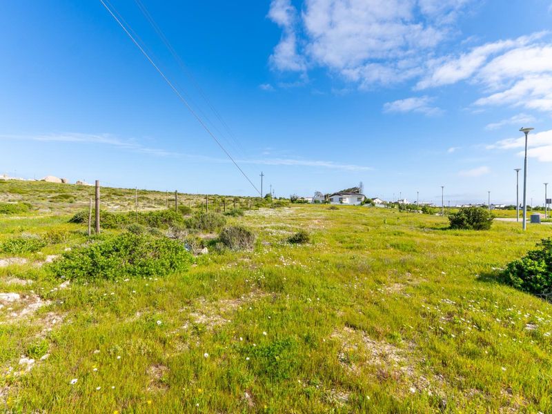 A vacant residential plot featuring natural vegetation, perimeter fencing, and existing street lighting infrastructure under a clear blue sky.