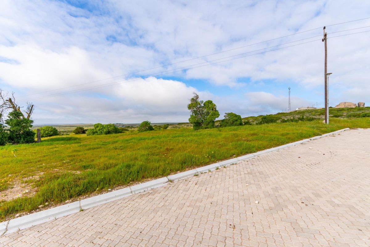 A view of a vacant residential plot featuring a paved driveway, concrete curbing, and established utility infrastructure against a natural landscape.