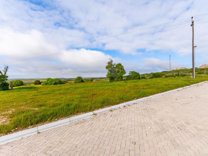 A view of a vacant residential plot featuring a paved driveway, concrete curbing, and established utility infrastructure against a natural landscape.