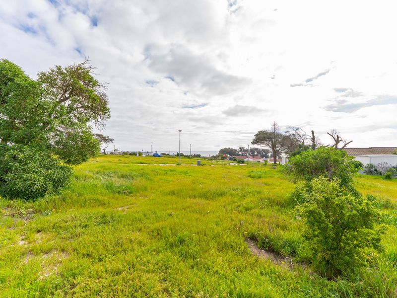 A vacant residential plot featuring open grassland, mature trees, and distant coastal views, offering a blank canvas for development.