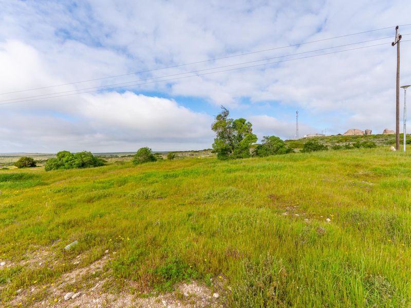 A view of a vacant residential plot featuring natural grass, shrubs, and existing utility infrastructure.