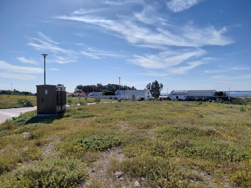 A vacant residential plot featuring natural vegetation, an electrical utility box, and street lighting, situated in a developed neighborhood.