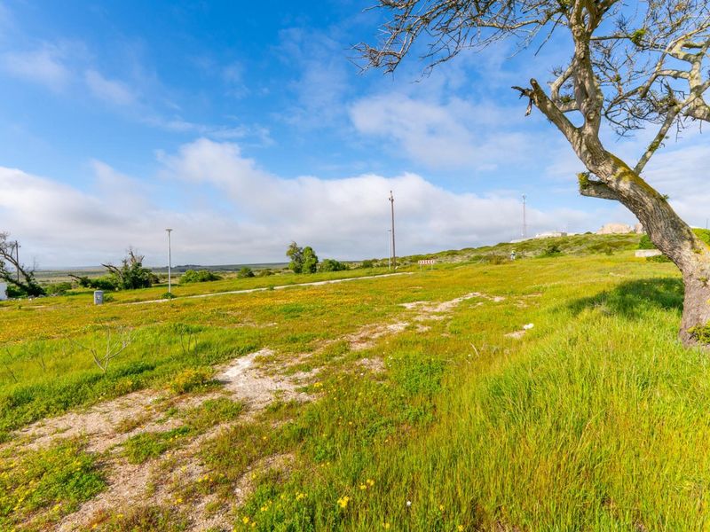 A view of a vacant residential plot featuring natural grass, a mature tree, and existing utility infrastructure under a clear blue sky.