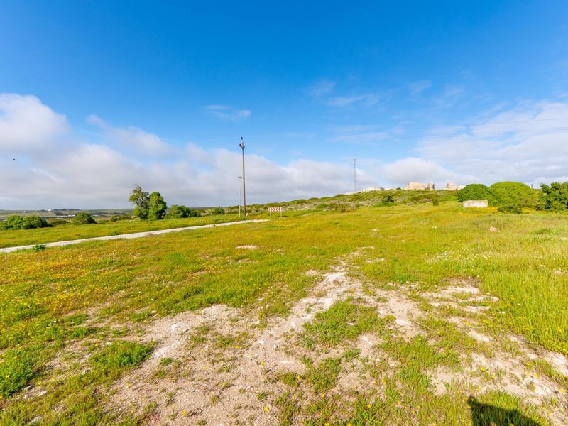 A wide-angle view of a vacant residential plot featuring natural vegetation, a gravel path, and existing utility infrastructure.