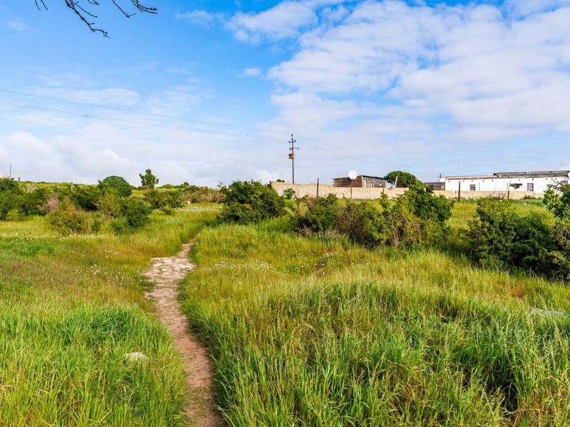 A view of a vacant residential plot featuring natural vegetation, a dirt pathway, and a boundary wall in the background.