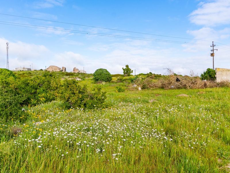 A view of a vacant residential plot featuring natural vegetation, wildflowers, and existing utility infrastructure including power lines and a boundary wall.
