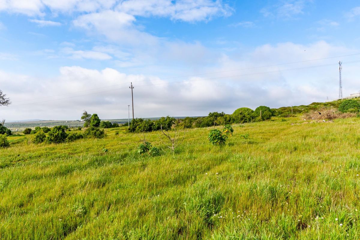 A view of a vacant residential plot featuring natural grass, scattered shrubs, and utility infrastructure under a clear blue sky.
