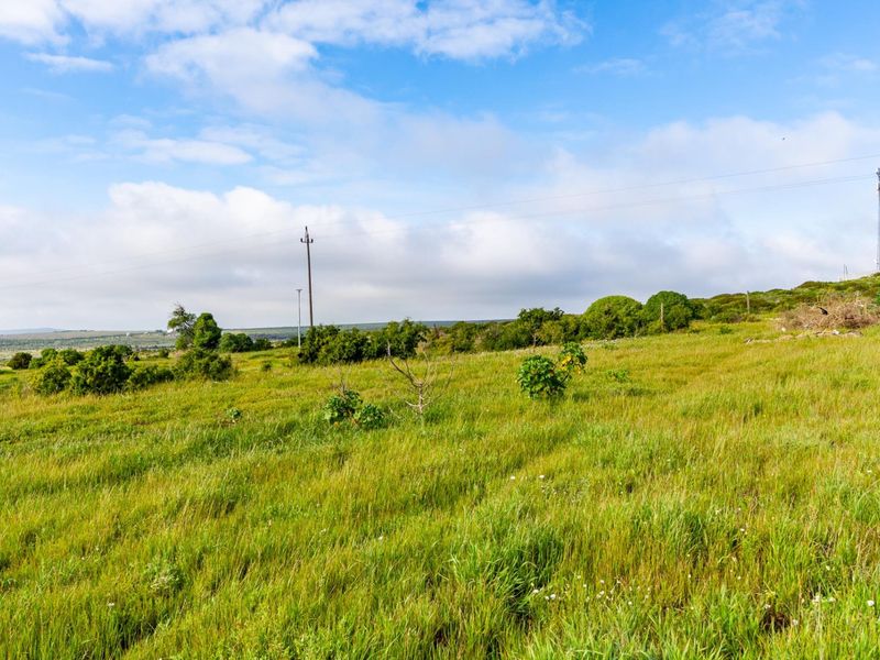 A view of a vacant residential plot featuring natural grass, scattered shrubs, and utility infrastructure under a clear blue sky.