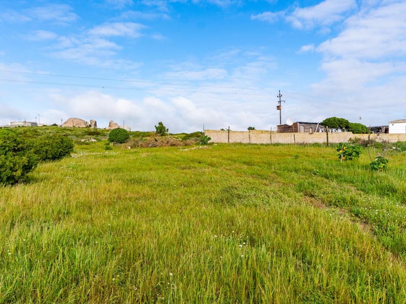 A view of a vacant residential plot featuring natural grass coverage, a boundary wall, and surrounding landscape.