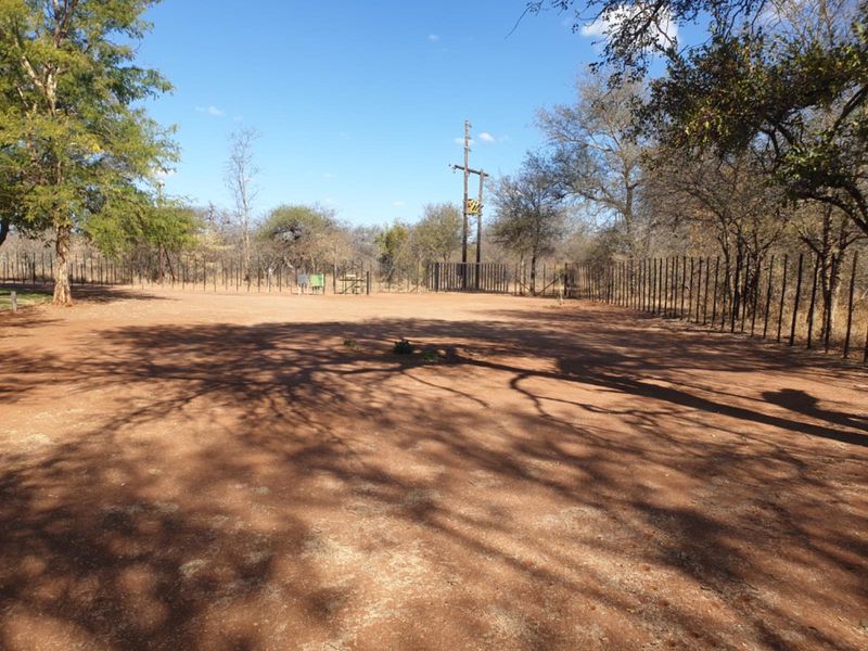 A wide, open dirt clearing on the farm property, enclosed by perimeter fencing and featuring a utility pole amidst surrounding trees.