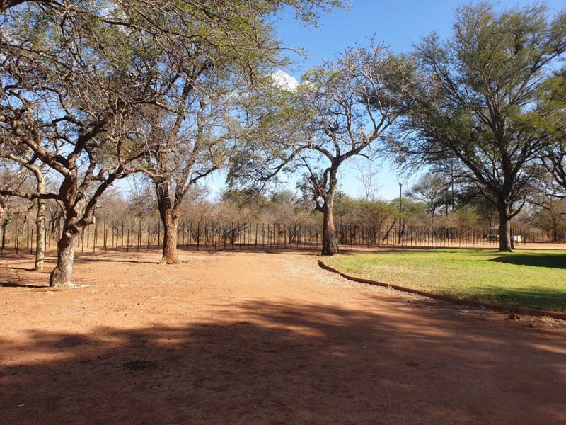 A spacious outdoor garden area featuring mature trees, a manicured lawn section, and perimeter fencing on a farm property.