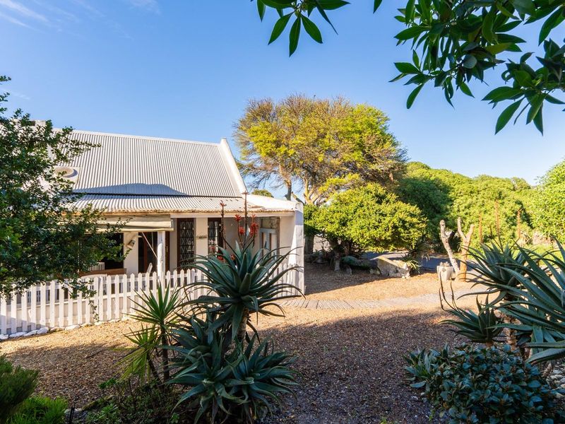 A charming cottage-style home featuring a corrugated metal roof, a white picket fence, and a well-established garden with a covered front veranda.