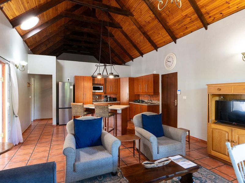 Open plan living and kitchen area featuring a high vaulted timber ceiling, terracotta tiled flooring, and a functional kitchen with stone countertops.