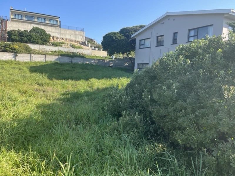 A view of a vacant residential plot featuring overgrown grass, boundary walls, and adjacent residential properties.