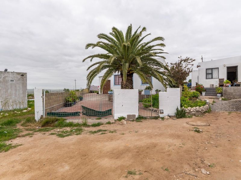 Front exterior view of the property featuring a gated entrance, a large palm tree, and an unpaved driveway area.