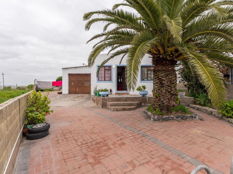 Front exterior view of a single-story house featuring a brick-paved driveway, concrete boundary wall, and a prominent palm tree in the front garden area.