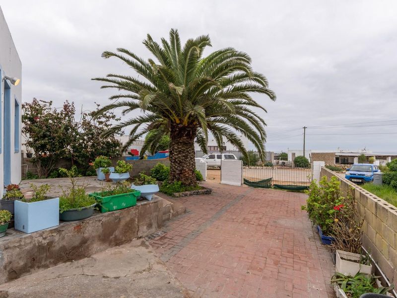 Front exterior view featuring a brick paved driveway, mature palm tree, and concrete boundary wall with gated access.