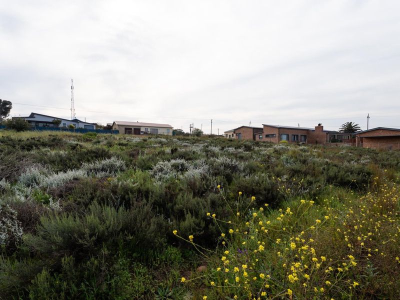 A view of a vacant residential plot featuring natural vegetation with surrounding residential properties in the background.