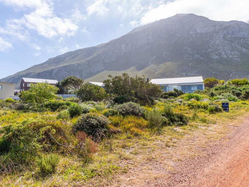 A view of a vacant residential plot featuring native vegetation and a dirt access road, set against a scenic mountain backdrop.